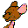 kanga